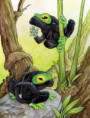 /album/ninja/ninja-frogs-by-ursulav-jpg/